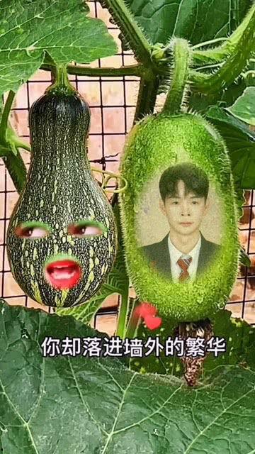 吃瓜小兔特效视频大全免费观看,笑料横生,欢乐无限 第2张 吃瓜小兔特效视频大全免费观看,笑料横生,欢乐无限 第2张