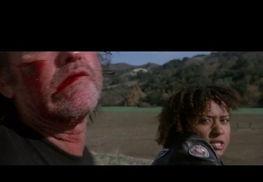 电影金刚不坏在线观看,在线观影，见证传奇英雄的钢铁意志  第2张