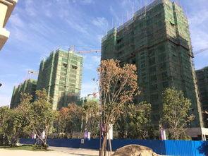 长春公馆爆料最新消息,揭秘神秘项目背后的惊人真相 第3张 长春公馆爆料最新消息,揭秘神秘项目背后的惊人真相 第3张