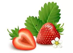 甜蜜草莓爆料视频大全下载,甜蜜爆料视频大盘点