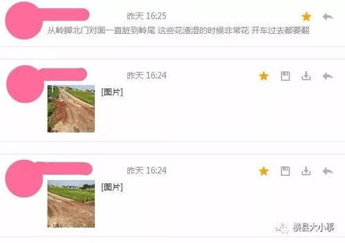 网传爆料视频怎么处理好,事件真相与背后故事  第3张