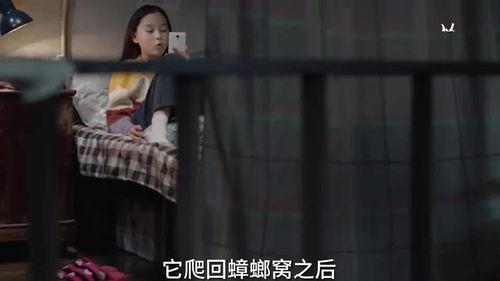 宿舍爆料惊人秘密视频在线播放,视频揭露宿舍生活不为人知的一面 第3张 宿舍爆料惊人秘密视频在线播放,视频揭露宿舍生活不为人知的一面 第3张