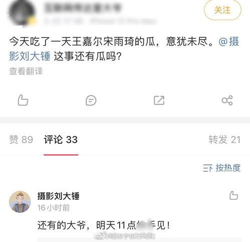 刘大锤摄影爆料视频播放,视频播放背后的精彩瞬间揭秘