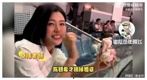 刘大锤摄影爆料视频播放,视频播放背后的精彩瞬间揭秘  第3张