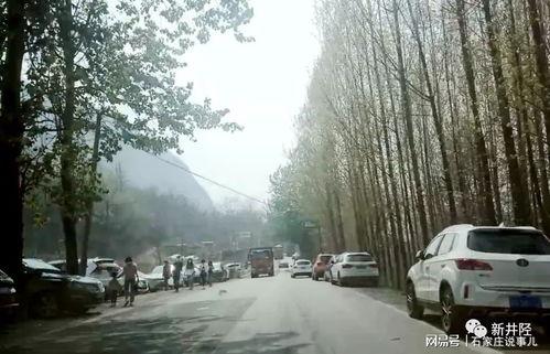 石家庄藁城最新爆料,揭秘城市变迁与发展新动向  第2张