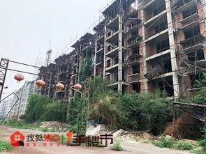 石家庄藁城最新爆料,揭秘城市变迁与发展新动向  第3张