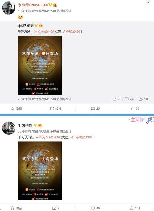 爆料视频集锦大全,揭秘热点事件背后的真相