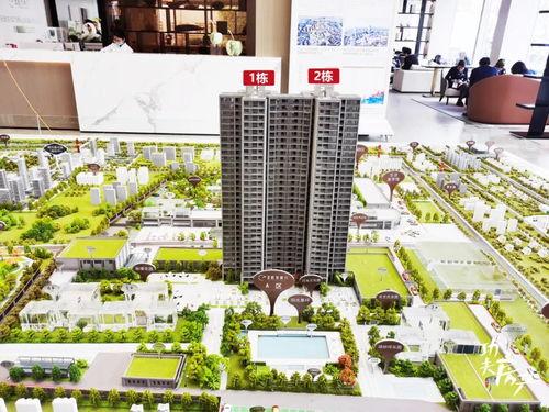 郑州绿城爆料事件视频曝光,揭露惊人内幕