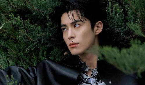 王鹤棣娱乐吃瓜大爆料,娱乐圈幕后那些不为人知的秘密  第3张