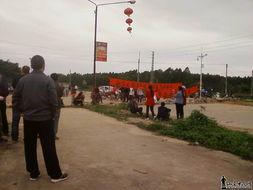 海丰爆料新闻,揭秘当地热点事件背后的真相  第2张