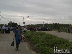 海丰爆料新闻,揭秘当地热点事件背后的真相  第3张