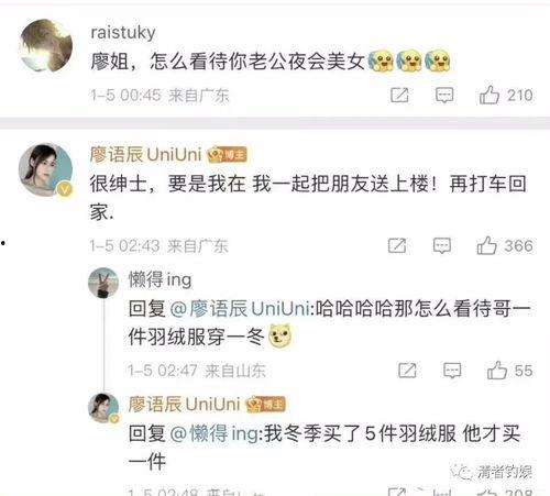 刘大锤爆料小结视频播放,视频播放背后的精彩瞬间  第3张